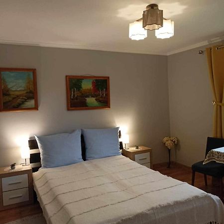 Mroczkowka Apartment Debowiec  Екстериор снимка