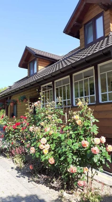Mroczkowka Apartment Debowiec  Екстериор снимка