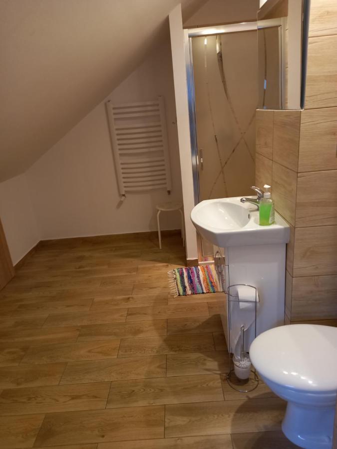 Mroczkowka Apartment Debowiec  Екстериор снимка