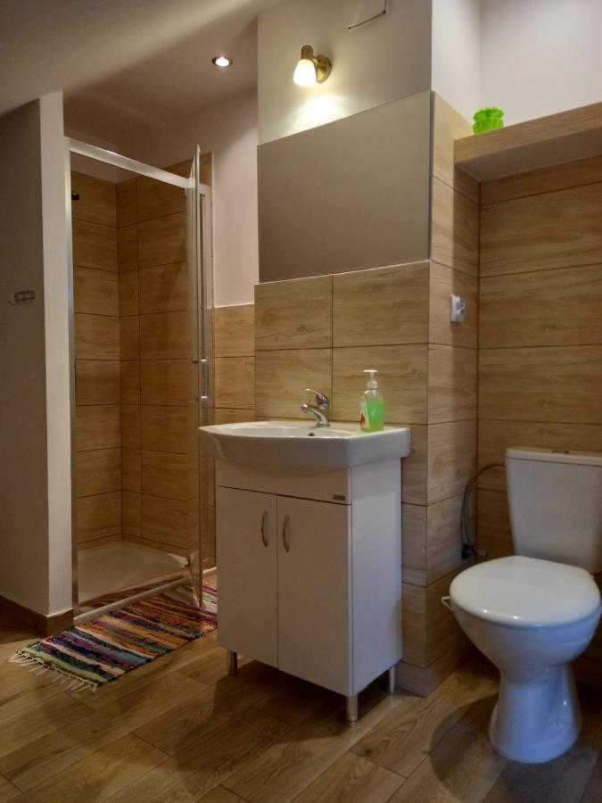 Mroczkowka Apartment Debowiec  Екстериор снимка