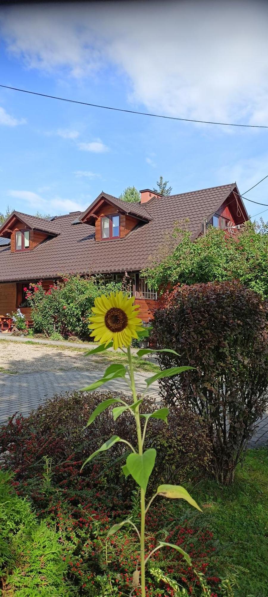 Mroczkowka Apartment Debowiec  Екстериор снимка